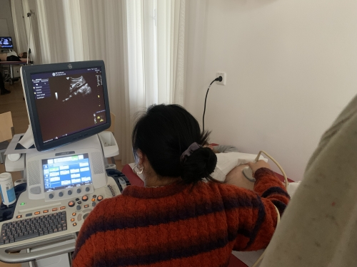 Das Bild vermittelt den Ablauf des Praktikums bei unseren Ultraschallkurs