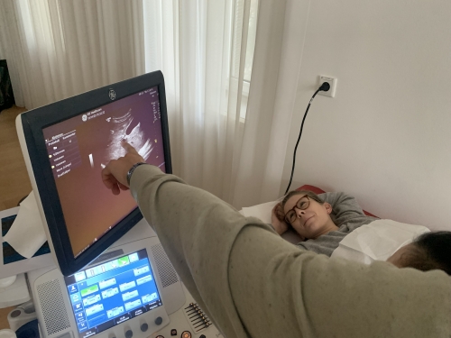 Das Bild vermittelt den Ablauf des Praktikums bei unseren Ultraschallkurs